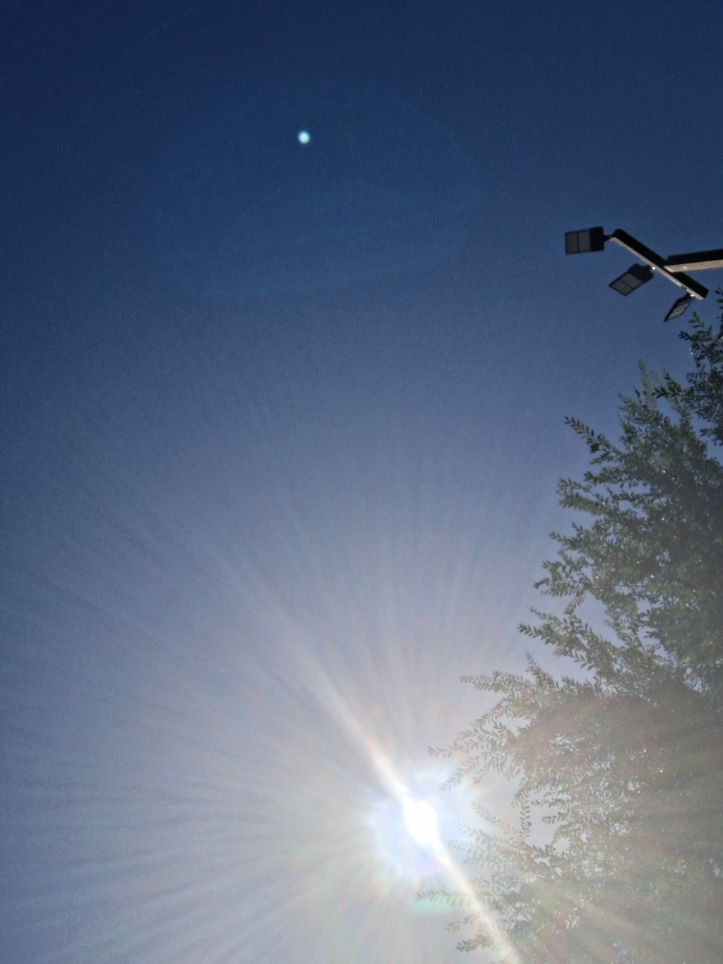 ✨ The Joy Set Before Me: Why I’m Excited About my Future in&nbsp;Christ.